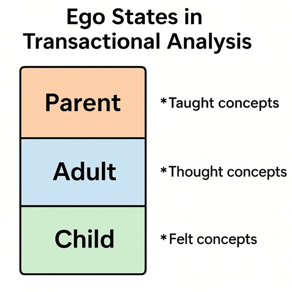 Ego States in Transactional Analysis - TAAS