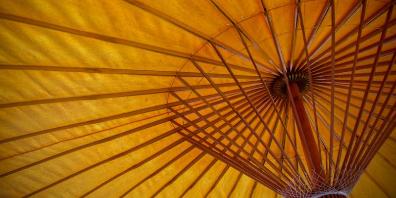 Notes Under the Umbrella Exploring Transactional Analysis in Life & Work by TAAS